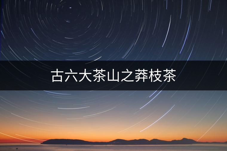 古六大茶山之莽枝茶