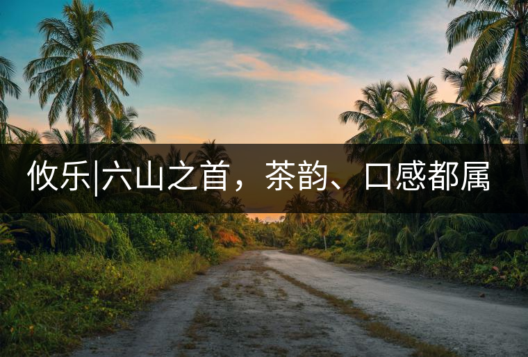 攸樂|六山之首，茶韻、口感都屬古六山一系