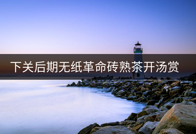 下關(guān)后期無(wú)紙革命磚熟茶開(kāi)湯賞析 下關(guān)后期無(wú)紙革命磚熟茶開(kāi)湯賞析