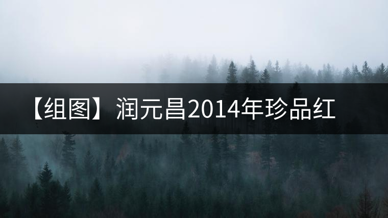 【組圖】潤元昌2014年珍品紅印開湯