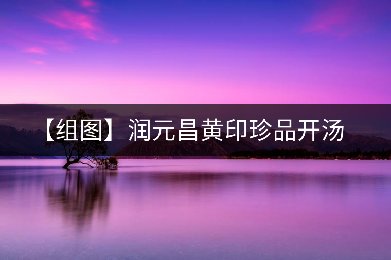 【組圖】潤(rùn)元昌黃印珍品開(kāi)湯 【組圖】潤(rùn)元昌黃印珍品開(kāi)湯