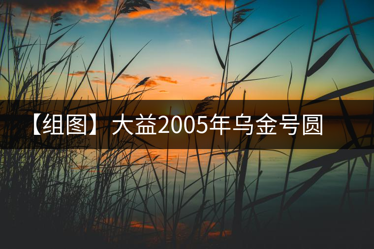 【組圖】大益2005年烏金號(hào)圓茶開湯