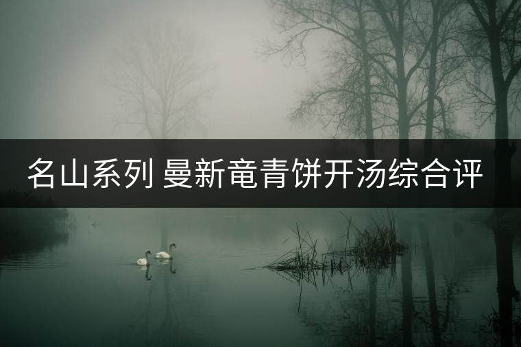 名山系列 曼新竜青餅開(kāi)湯綜合評(píng)測(cè) 名山系列 曼新竜青餅開(kāi)湯綜合評(píng)測(cè)