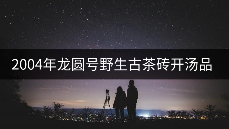 2004年龍圓號野生古茶磚開湯品鑒 2004年龍圓號野生古茶磚開湯品鑒