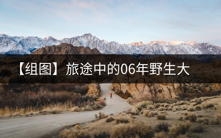 【組圖】旅途中的06年野生大雪山 【組圖】旅途中的06年野生大雪山