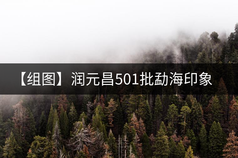 【組圖】潤元昌501批勐海印象餅開湯