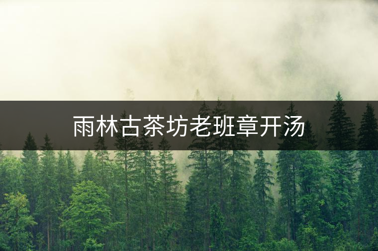 雨林古茶坊老班章開(kāi)湯