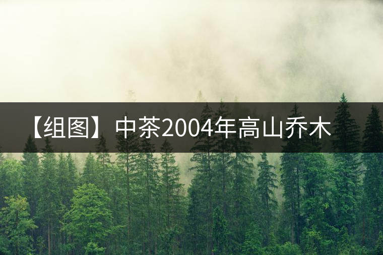 【組圖】中茶2004年高山喬木雨前茶開(kāi)湯 【組圖】中茶2004年高山喬木雨前茶開(kāi)湯
