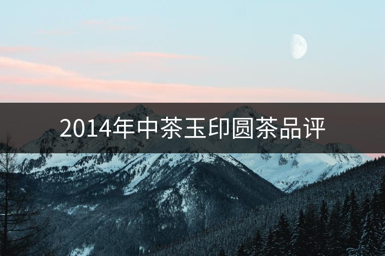 2014年中茶玉印圓茶品評