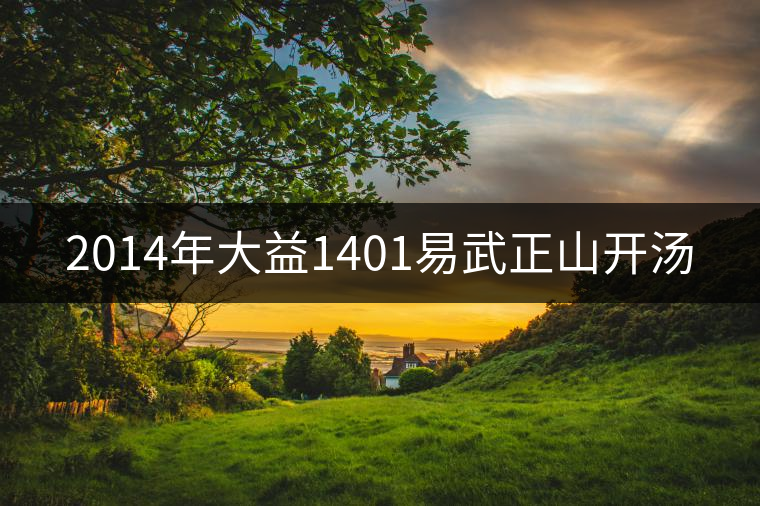 2014年大益1401易武正山開(kāi)湯