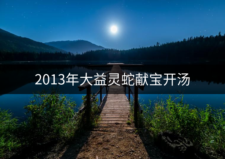 2013年大益靈蛇獻(xiàn)寶開湯