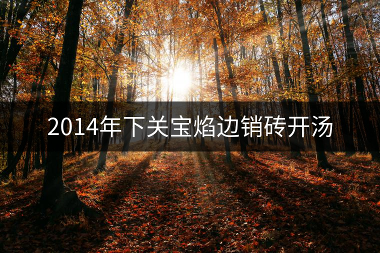 2014年下關(guān)寶焰邊銷(xiāo)磚開(kāi)湯