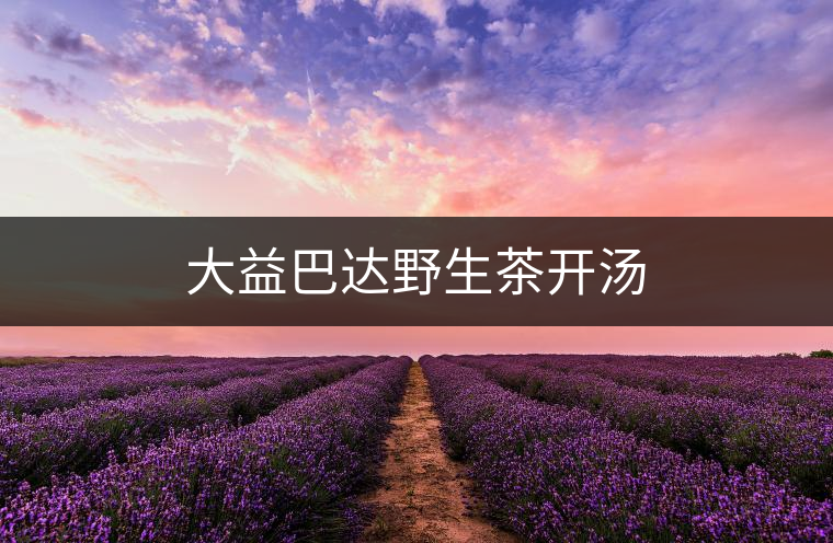 大益巴達野生茶開湯 大益巴達野生茶開湯