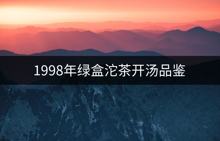 1998年綠盒沱茶開(kāi)湯品鑒