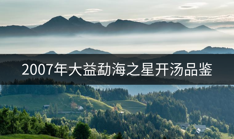 2007年大益勐海之星開(kāi)湯品鑒 2007年大益勐海之星開(kāi)湯品鑒