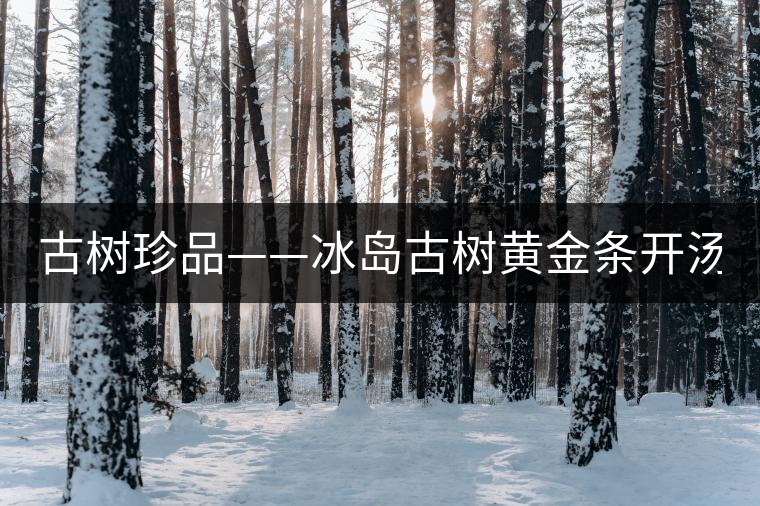 古樹(shù)珍品——冰島古樹(shù)黃金條開(kāi)湯(圖閱) 古樹(shù)珍品——冰島古樹(shù)黃金條開(kāi)湯(圖閱)