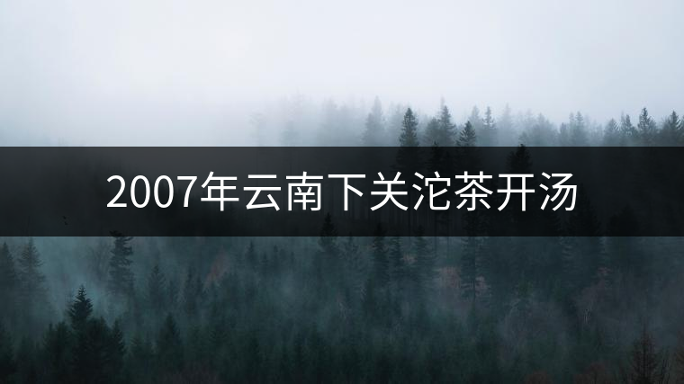 2007年云南下關(guān)沱茶開湯