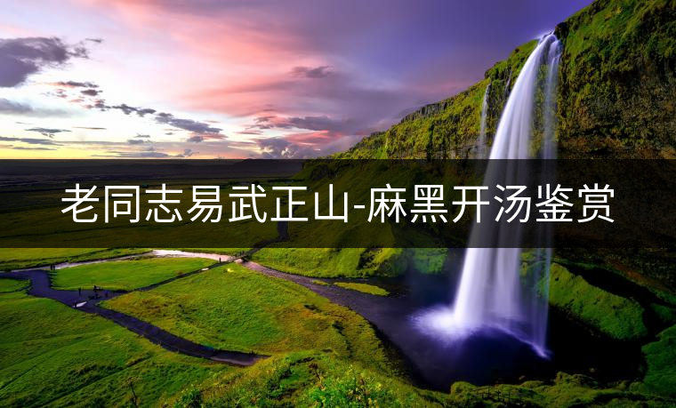 老同志易武正山-麻黑開湯鑒賞