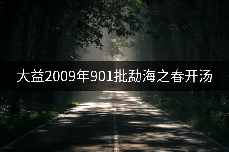 大益2009年901批勐海之春開湯