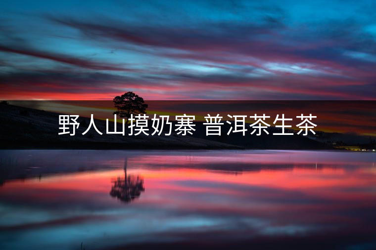 野人山摸奶寨 普洱茶生茶