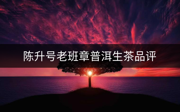 陳升號老班章普洱生茶品評 陳升號老班章普洱生茶品評