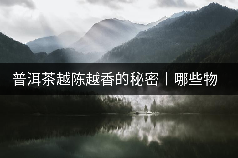 普洱茶越陳越香的秘密丨哪些物質(zhì)會(huì)發(fā)生變化呢?