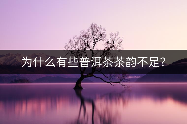 為什么有些普洱茶茶韻不足？