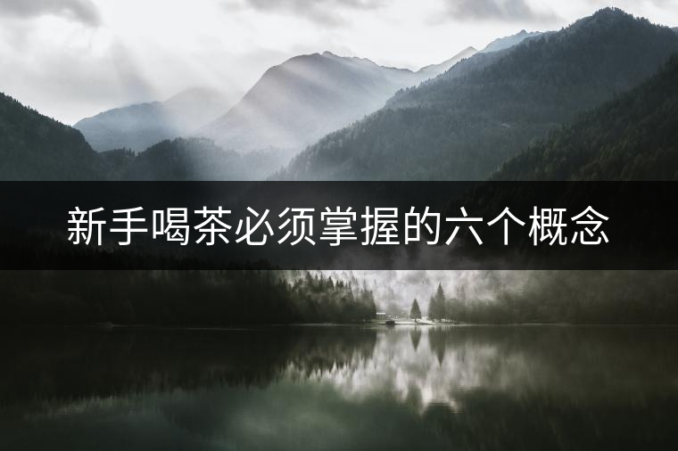 新手喝茶必須掌握的六個(gè)概念