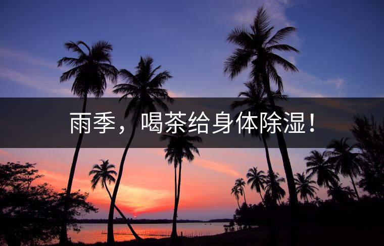 雨季，喝茶給身體除濕！