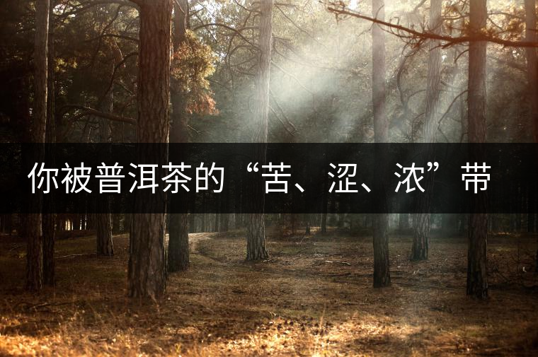 你被普洱茶的“苦、澀、濃”帶入“歧途”了嗎？