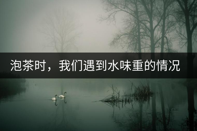 泡茶時(shí)，我們遇到水味重的情況是怎么回事呢?