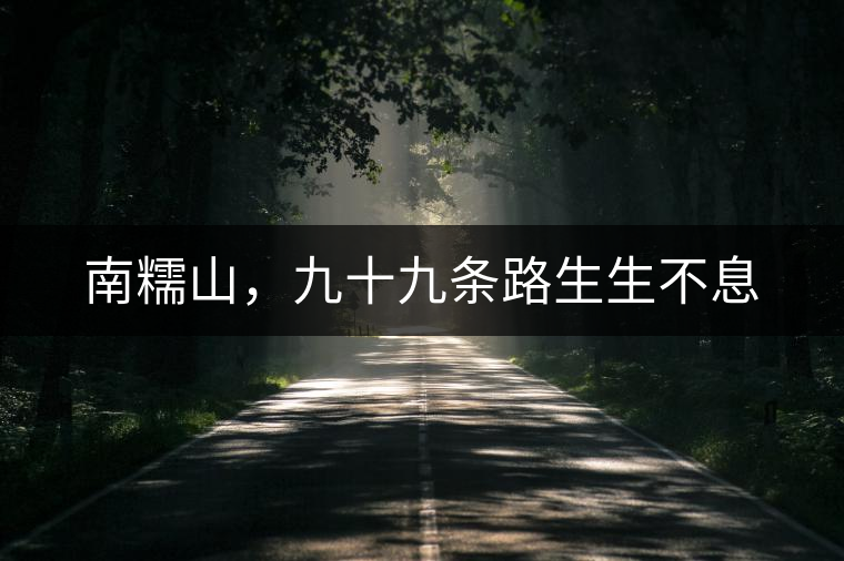 南糯山，九十九條路生生不息