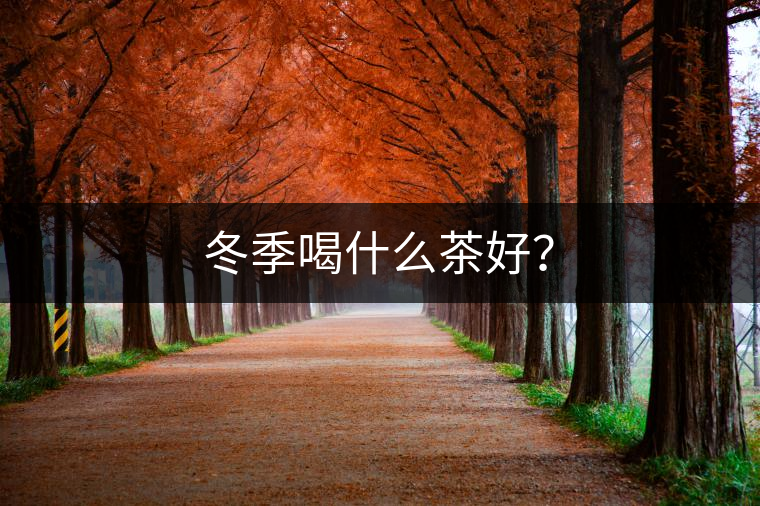 冬季喝什么茶好？
