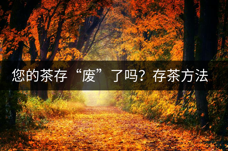 您的茶存“廢”了嗎？存茶方法與技巧，把香留??！