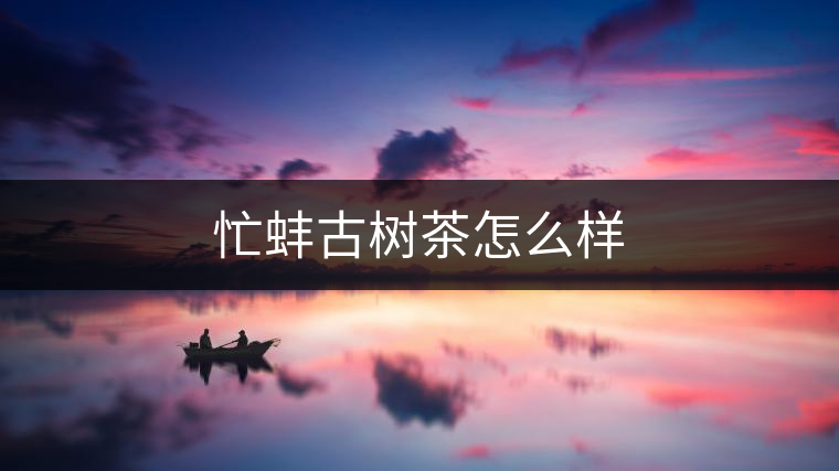 忙蚌古樹(shù)茶怎么樣 忙蚌古樹(shù)茶怎么樣
