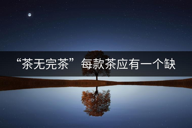 “茶無完茶”每款茶應(yīng)有一個缺點！