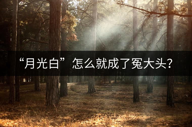 “月光白”怎么就成了冤大頭? “月光白”怎么就成了冤大頭?