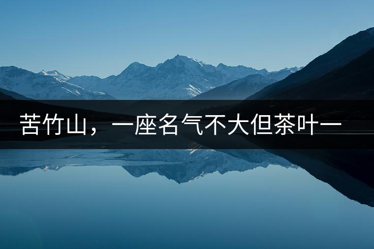 苦竹山，一座名氣不大但茶葉一流的古茶山