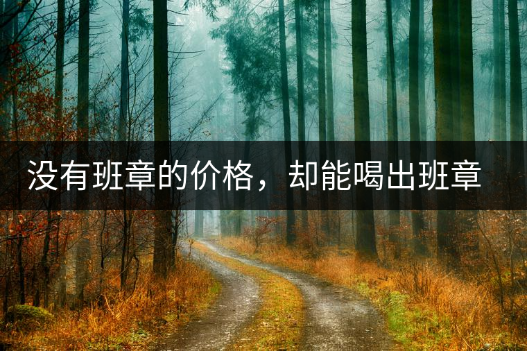 沒有班章的價格，卻能喝出班章的感覺