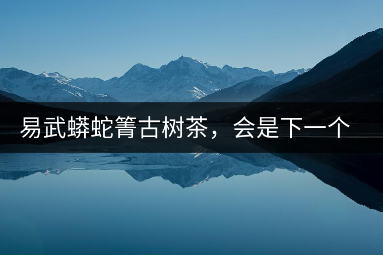 易武蟒蛇箐古樹(shù)茶，會(huì)是下一個(gè)銅箐河嗎？