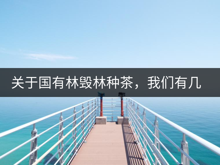 關(guān)于國有林毀林種茶，我們有幾點(diǎn)不得不說