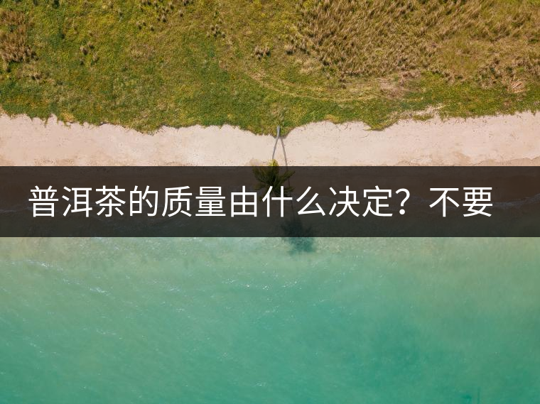 普洱茶的質(zhì)量由什么決定？不要輕信等級