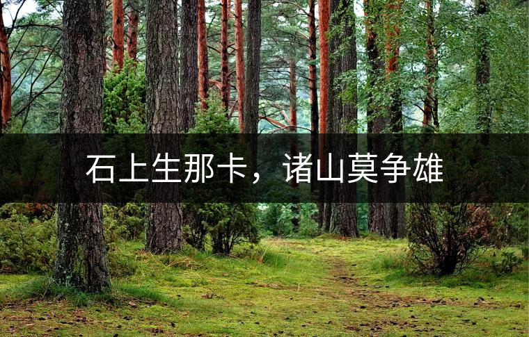 石上生那卡，諸山莫爭(zhēng)雄