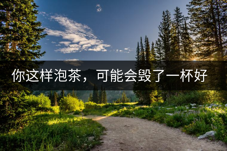 你這樣泡茶，可能會毀了一杯好茶