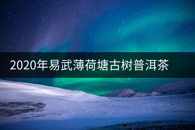 2020年易武薄荷塘古樹普洱茶特點(diǎn)，價(jià)格又上漲了嗎？