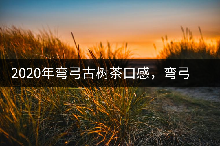 2020年彎弓古樹茶口感，彎弓普洱茶價(jià)格特點(diǎn)