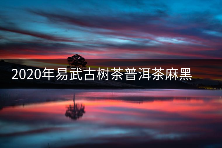 2020年易武古樹茶普洱茶麻黑春茶特點和價格