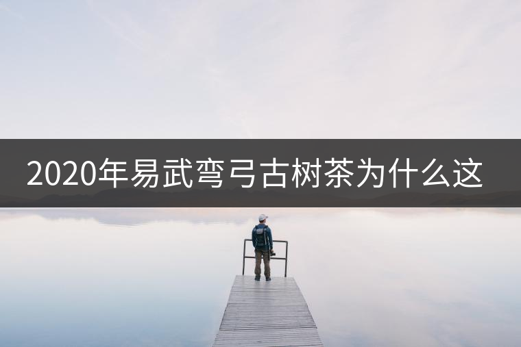 2020年易武彎弓古樹茶為什么這么貴？