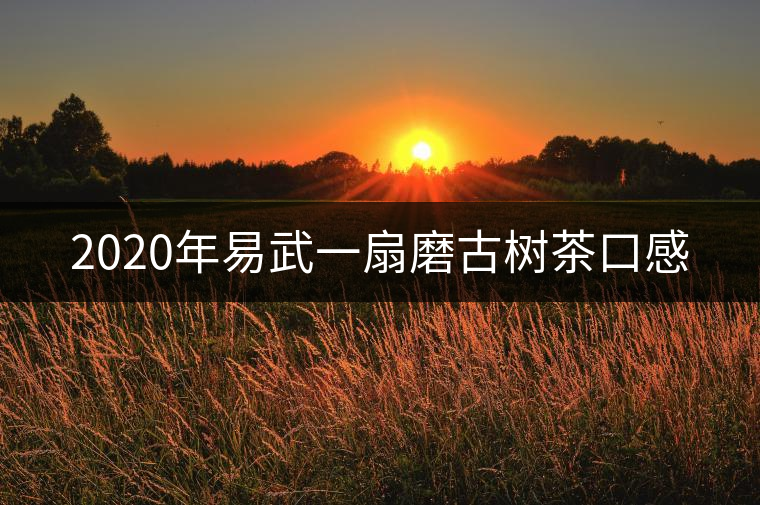 2020年易武一扇磨古樹茶口感 2020年易武一扇磨古樹茶口感
