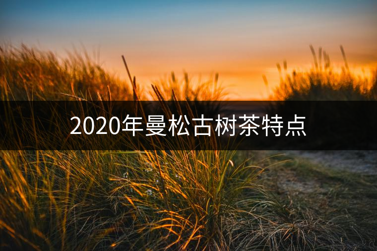 2020年曼松古樹茶特點(diǎn) 2020年曼松古樹茶特點(diǎn)